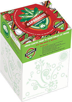 Exotic Growing Kits - Asparagus