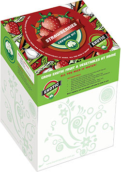 Kids 3D Growing Kit - Strawberry