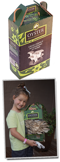 White button mushroom kit